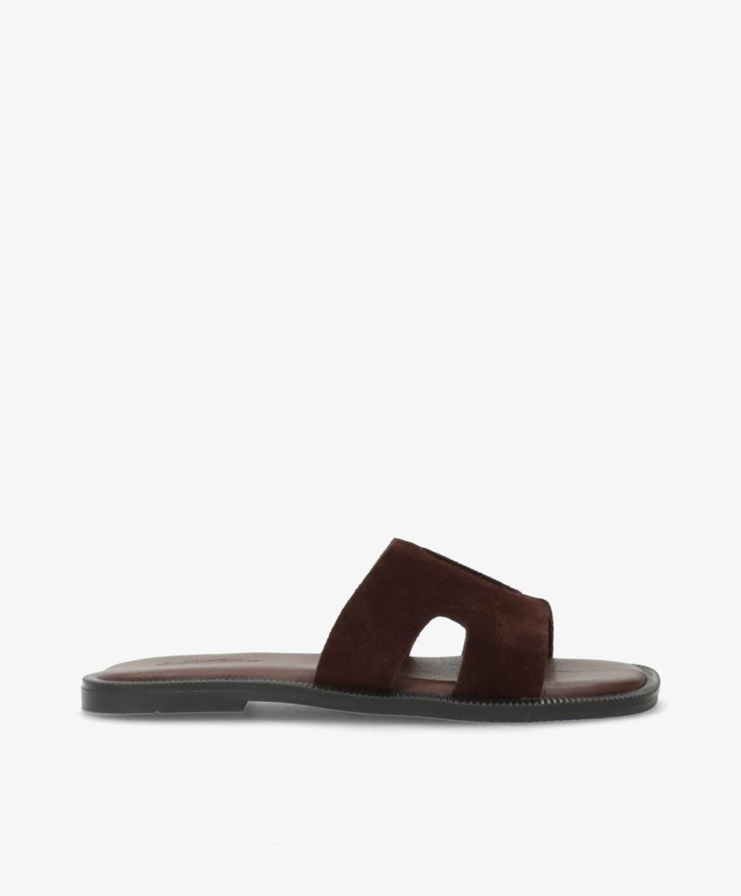 SD BIENN BROWN DARK