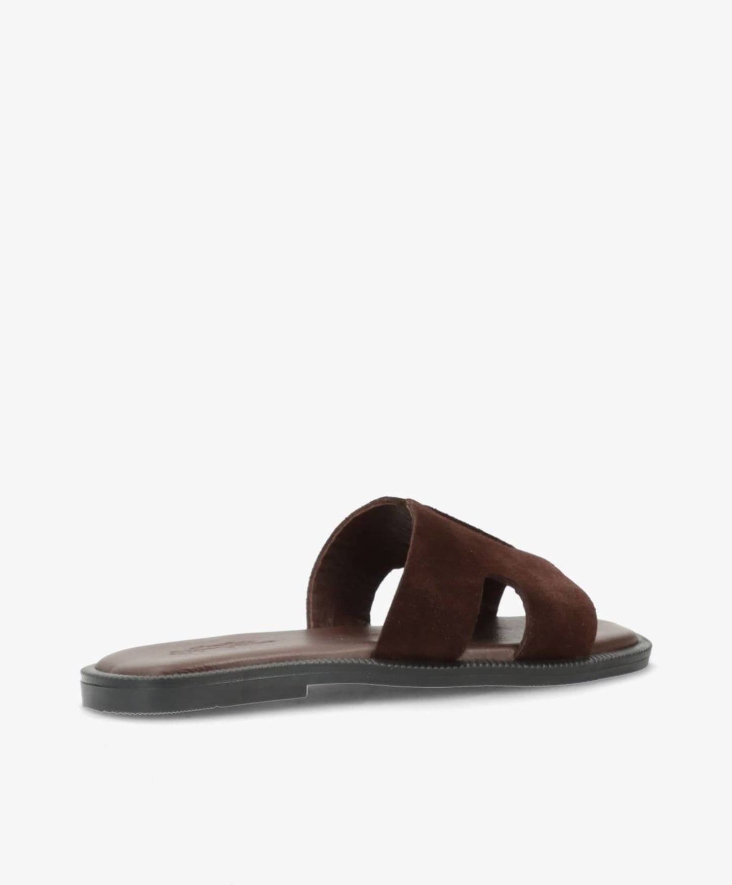 SD BIENN BROWN DARK