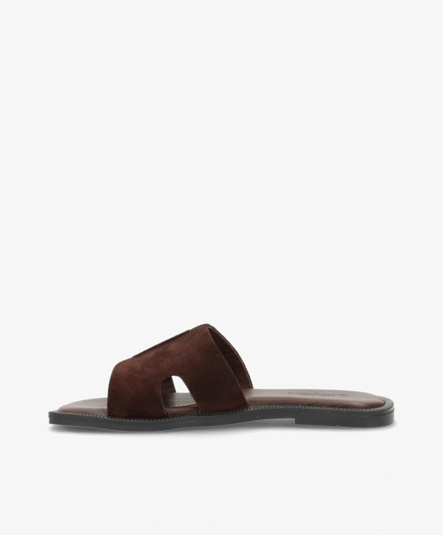 SD BIENN BROWN DARK