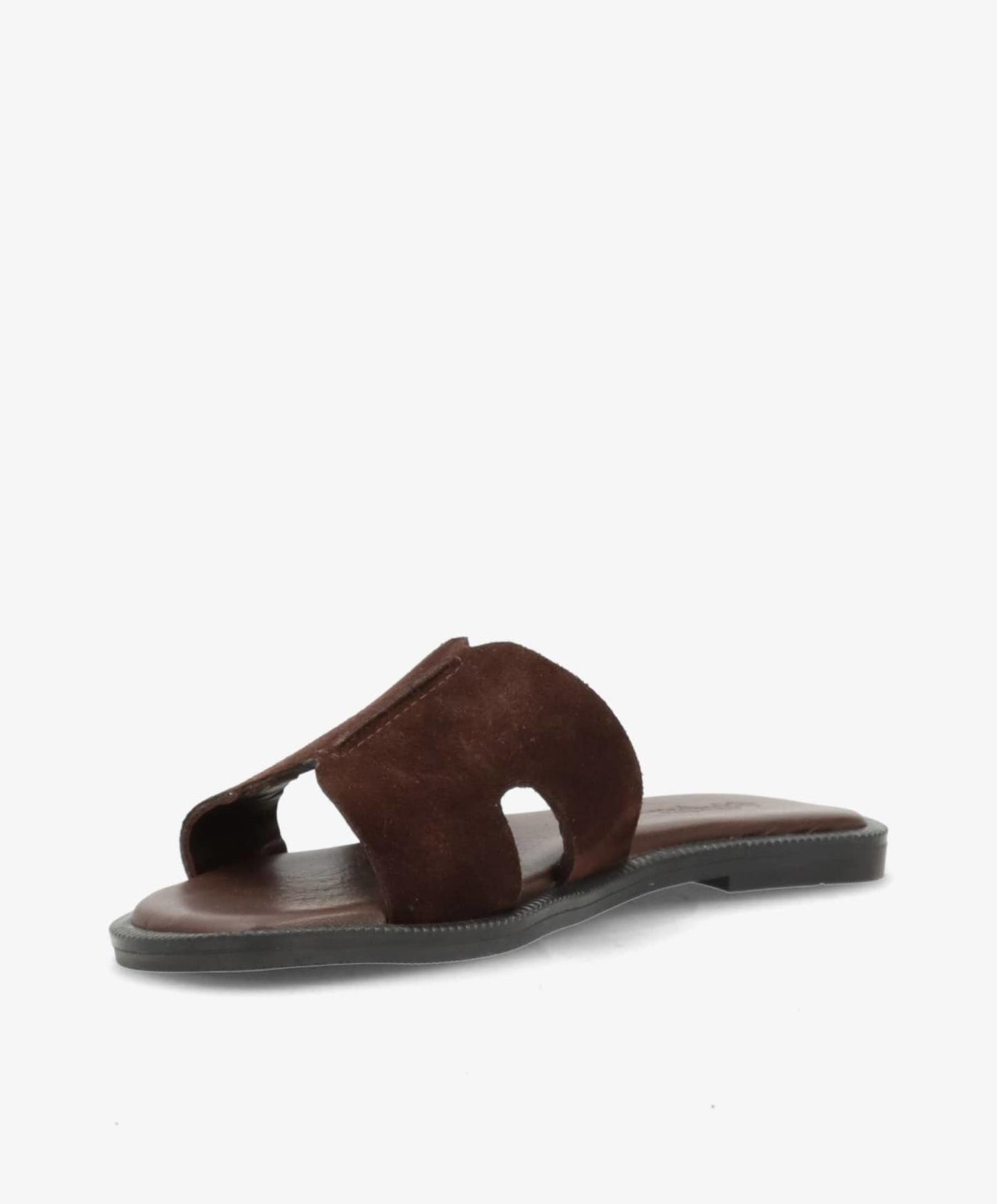 SD BIENN BROWN DARK